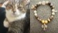 romeo_1